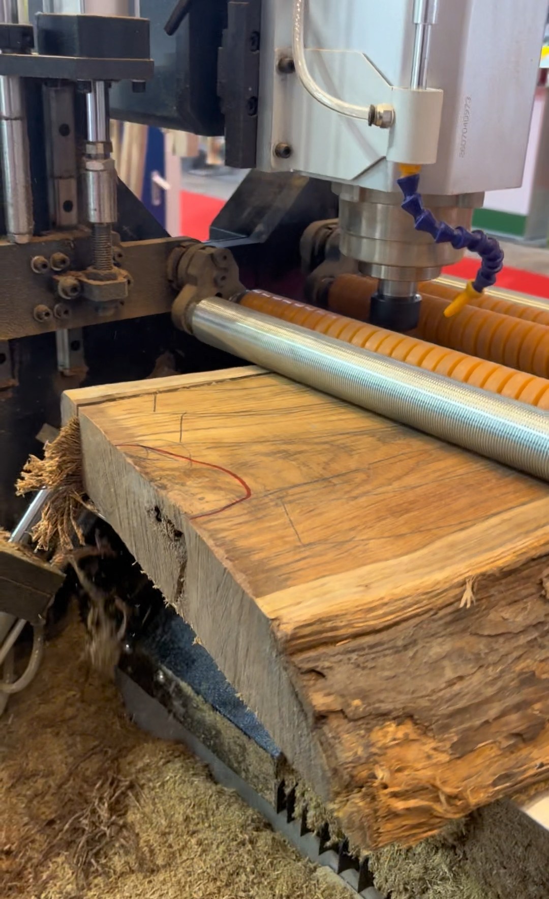 The same teak board during cutting at the exhibition.